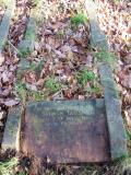 image of grave number 396303